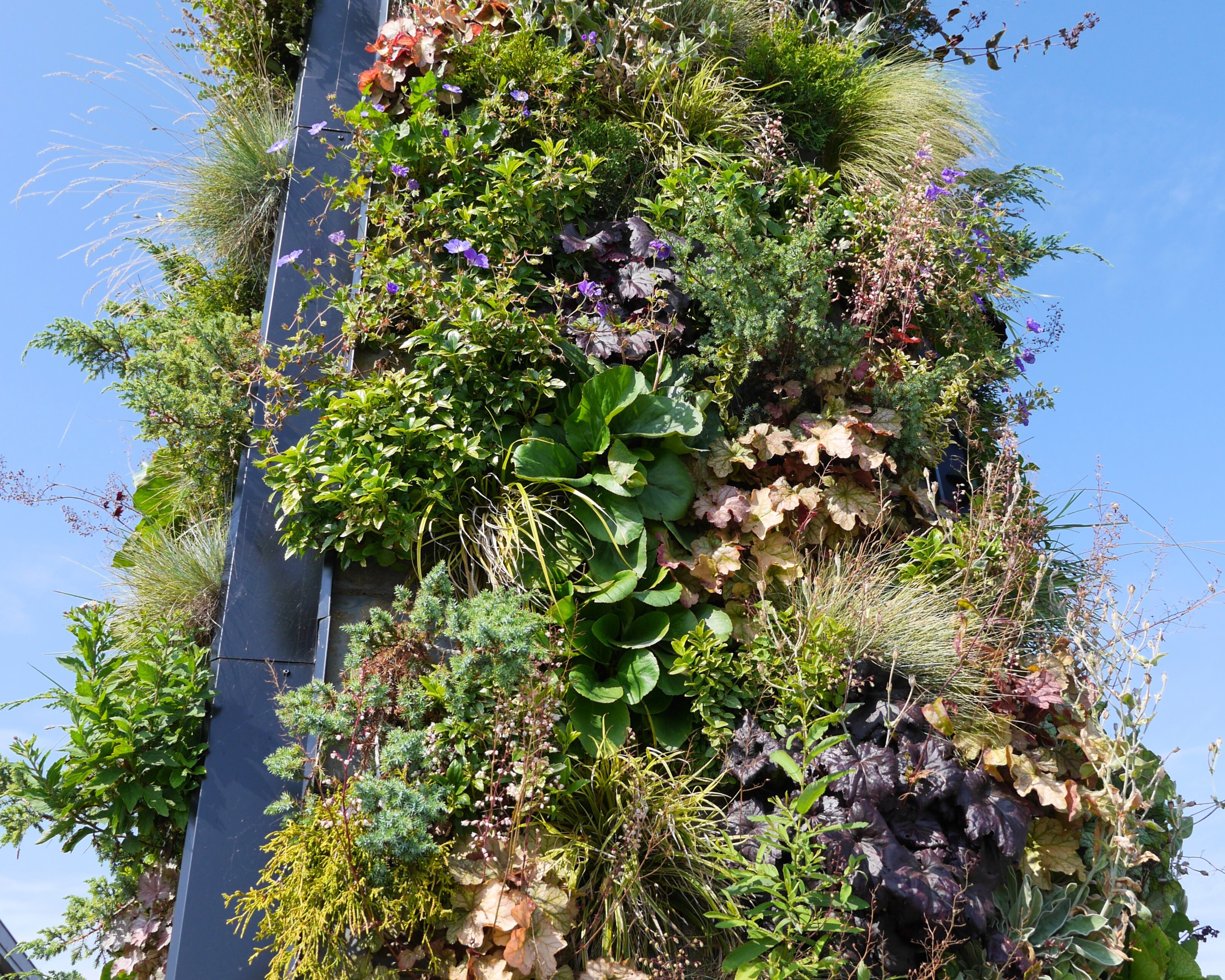 VERTICAL (12).jpg