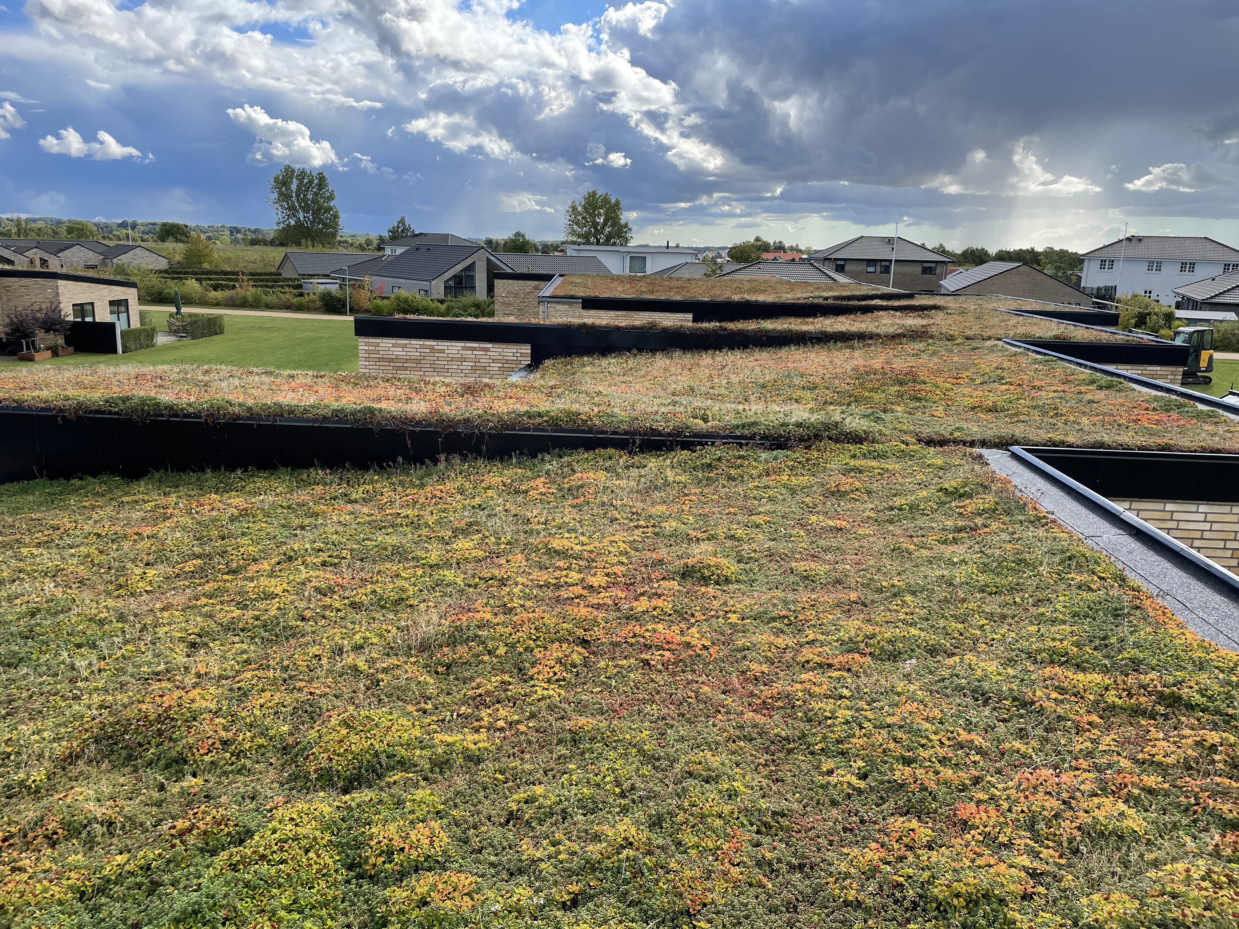 Grønne Tage Ukendt Projekt